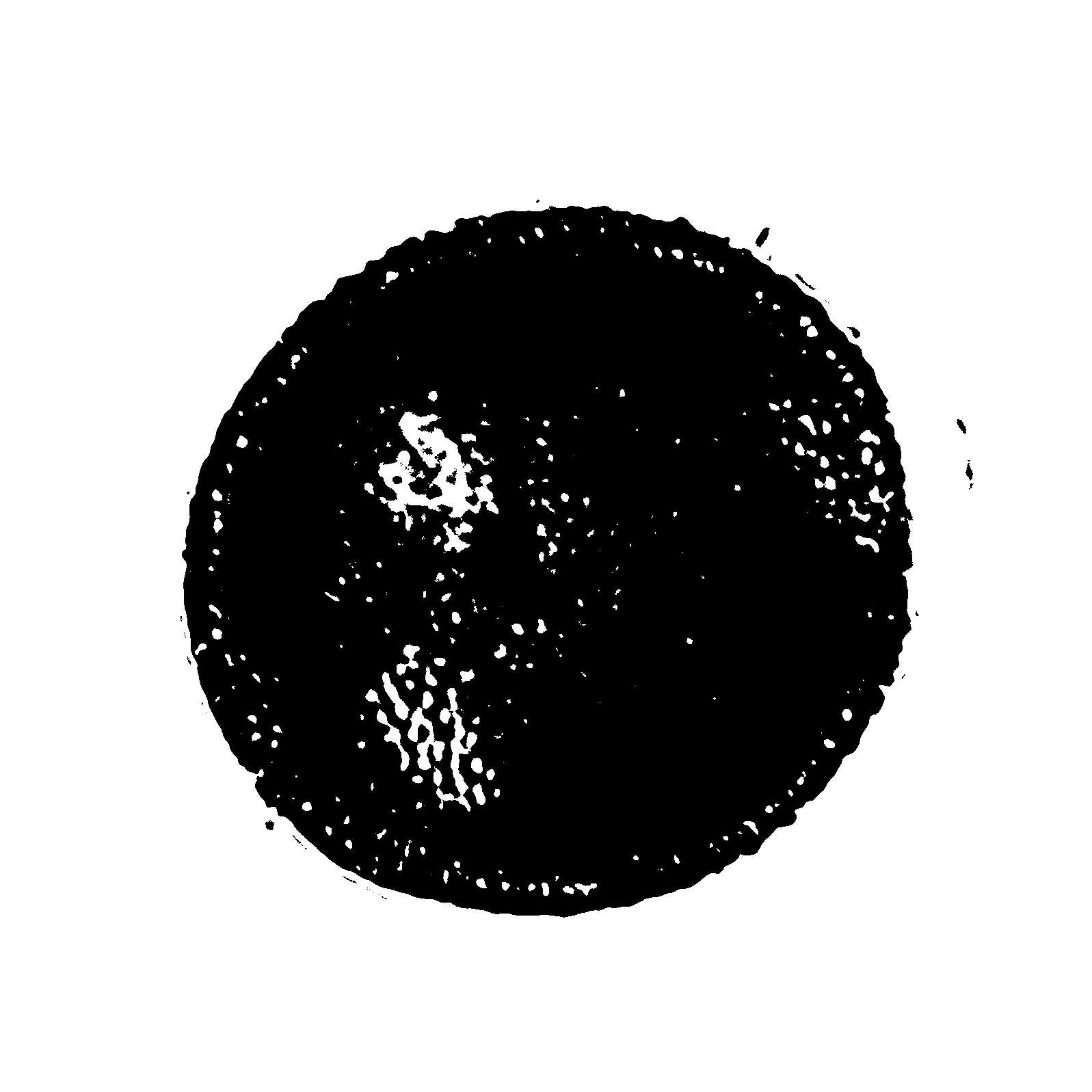 A pollen grain after processing using OpenCV!