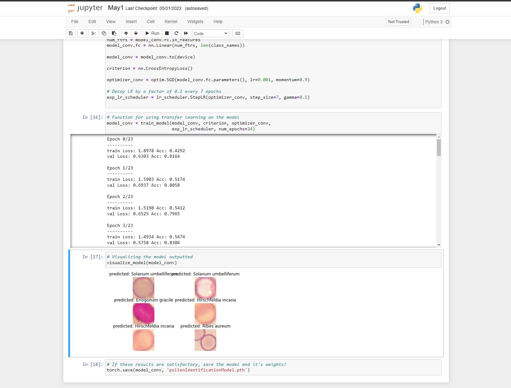 Results when using the notebook!